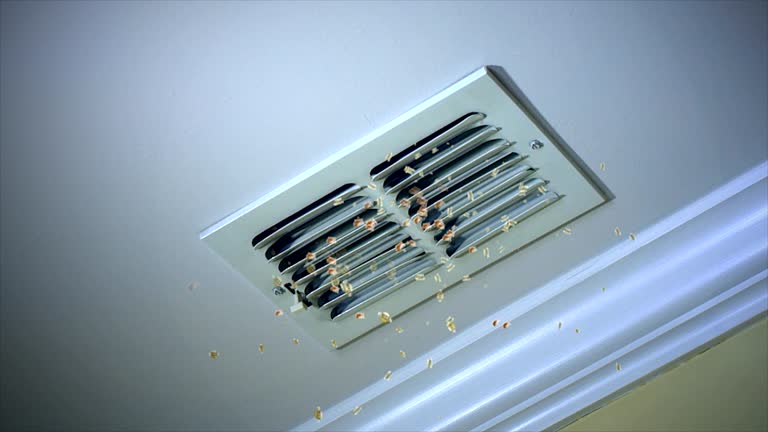 Best Affordable Air Duct Cleaning  in Moraine, OH